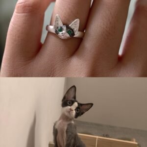 Permanent companionship